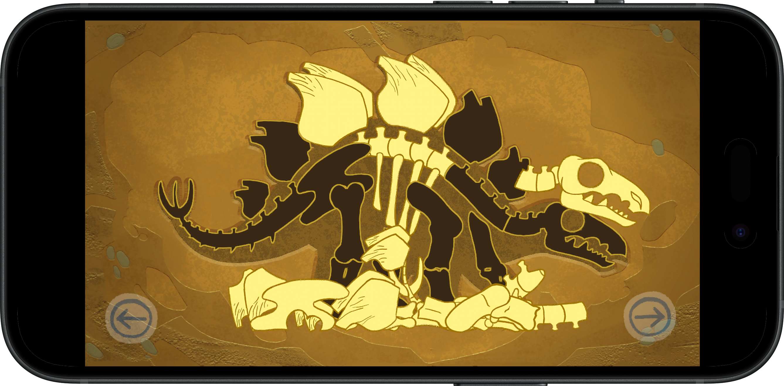 Club Baboo Puzzles — Bones